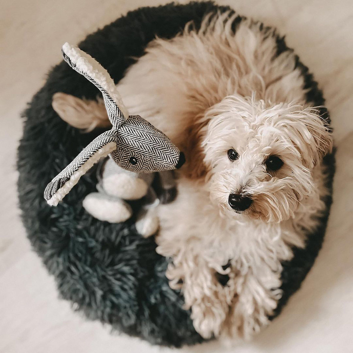 Soft Calming Donut Bed for Dogs & Cats