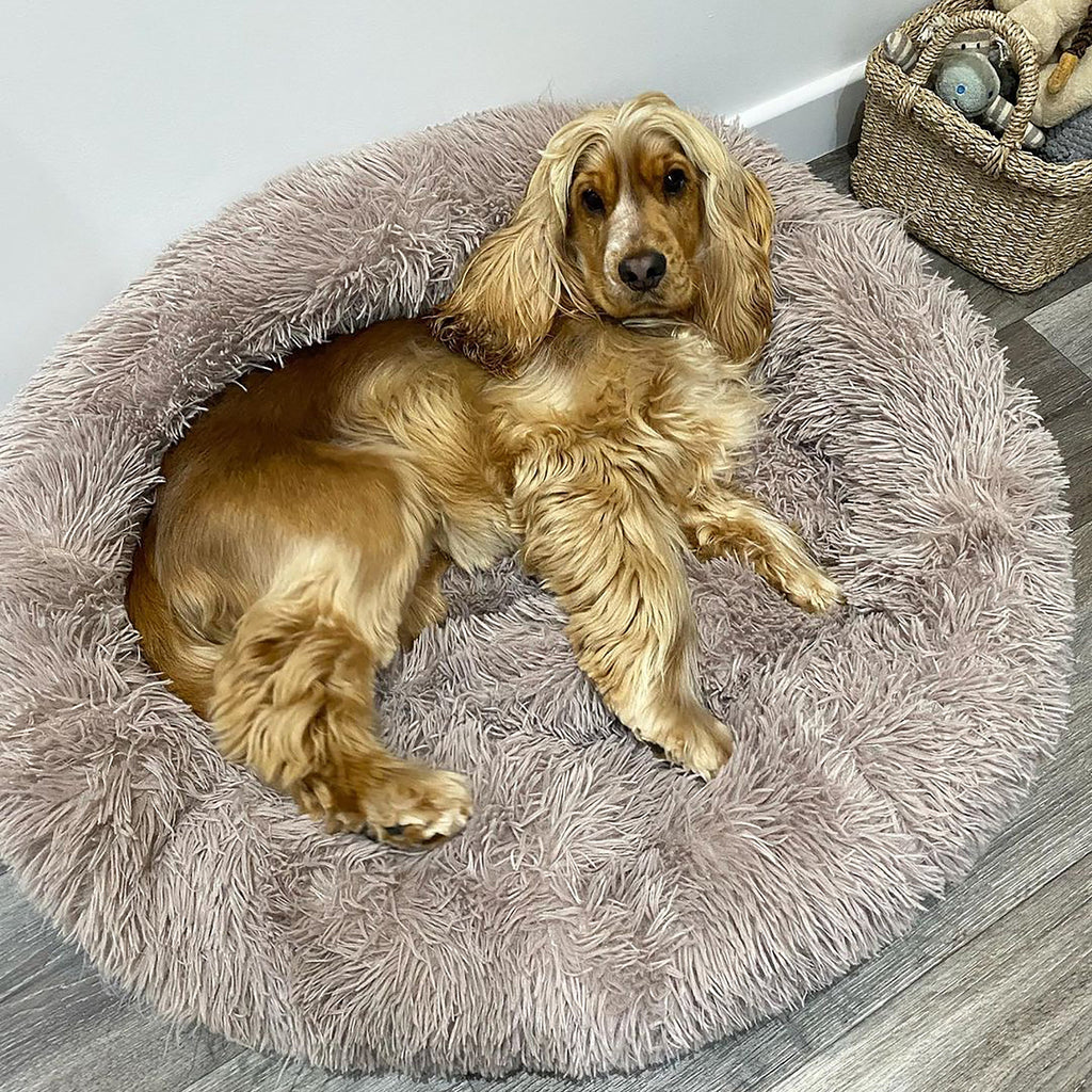 Soft Calming Donut Bed for Dogs & Cats