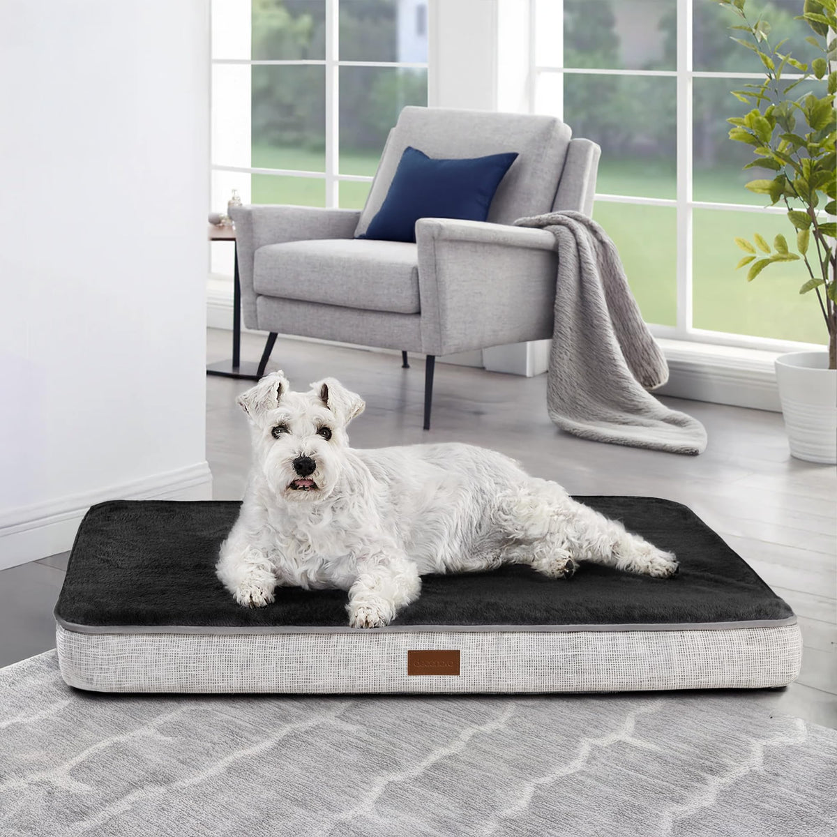 Orthopedic Dog Bed – Washable Cover