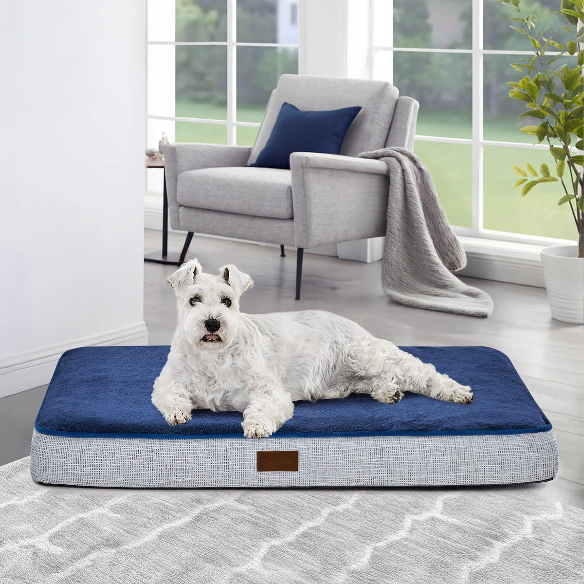 Orthopedic Dog Bed – Washable Cover