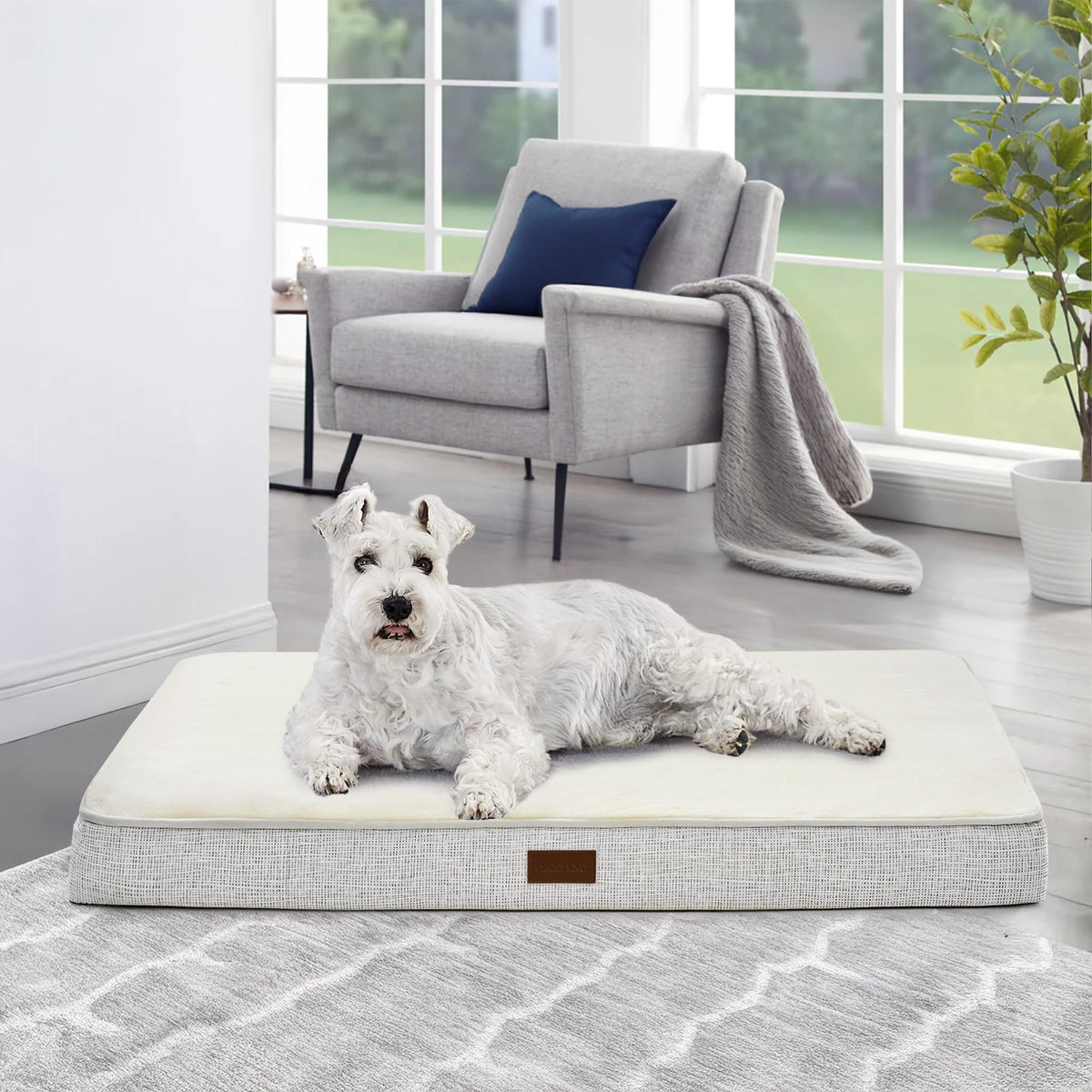 Orthopedic Dog Bed – Washable Cover