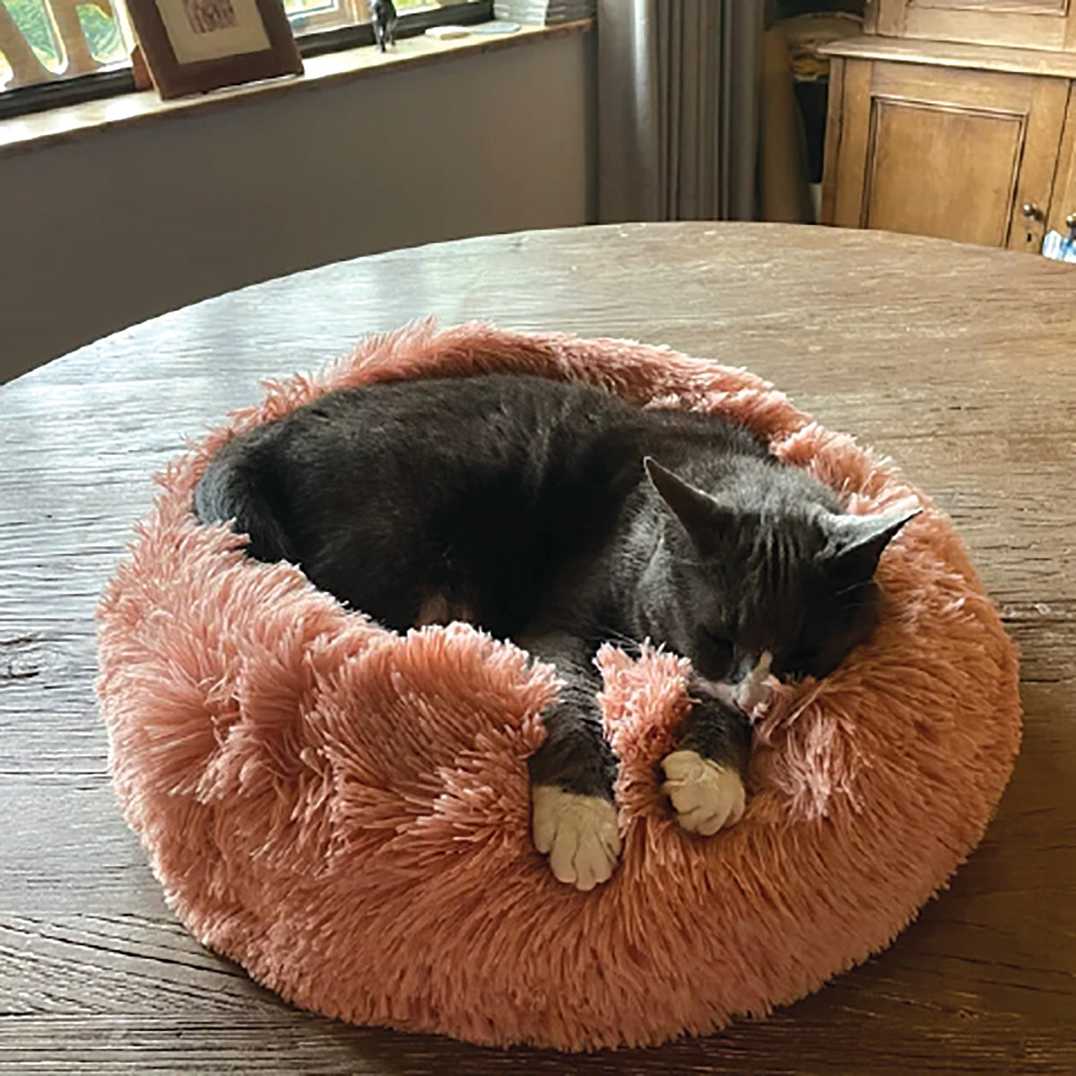 Soft Calming Donut Bed for Dogs & Cats