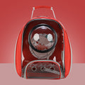 Transparent Pet Carrier Backpack