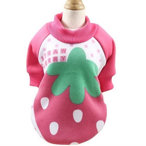 Hot Sale 6 Sizes Winter Warm Small Medium Pet Dog