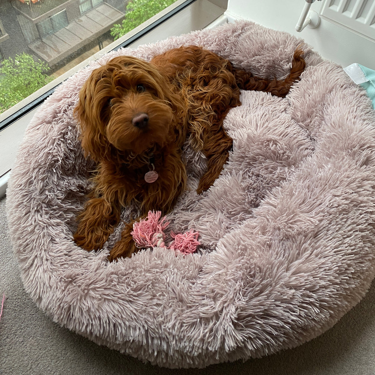 Soft Calming Donut Bed for Dogs & Cats