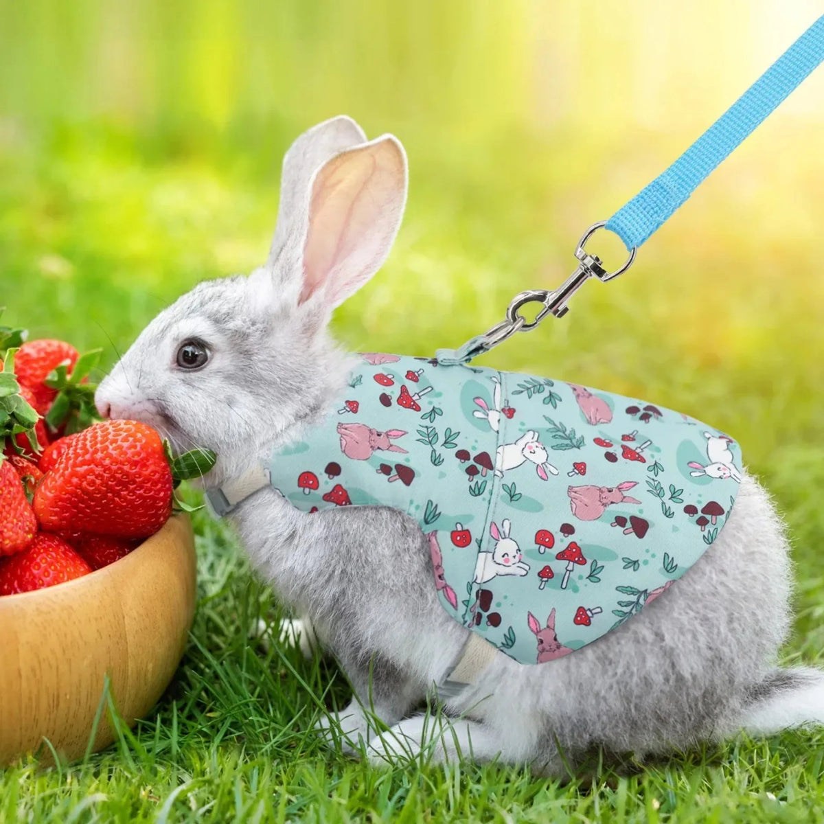 Solid Adjustable Pet Harness and Leash for Rabbit Bunny Cat Ferrets