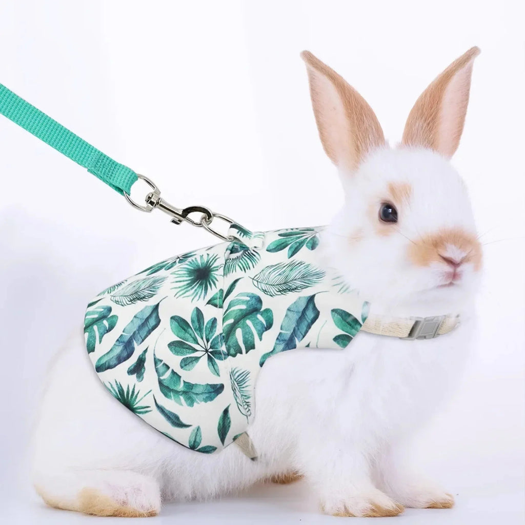 Solid Adjustable Pet Harness and Leash for Rabbit Bunny Cat Ferrets