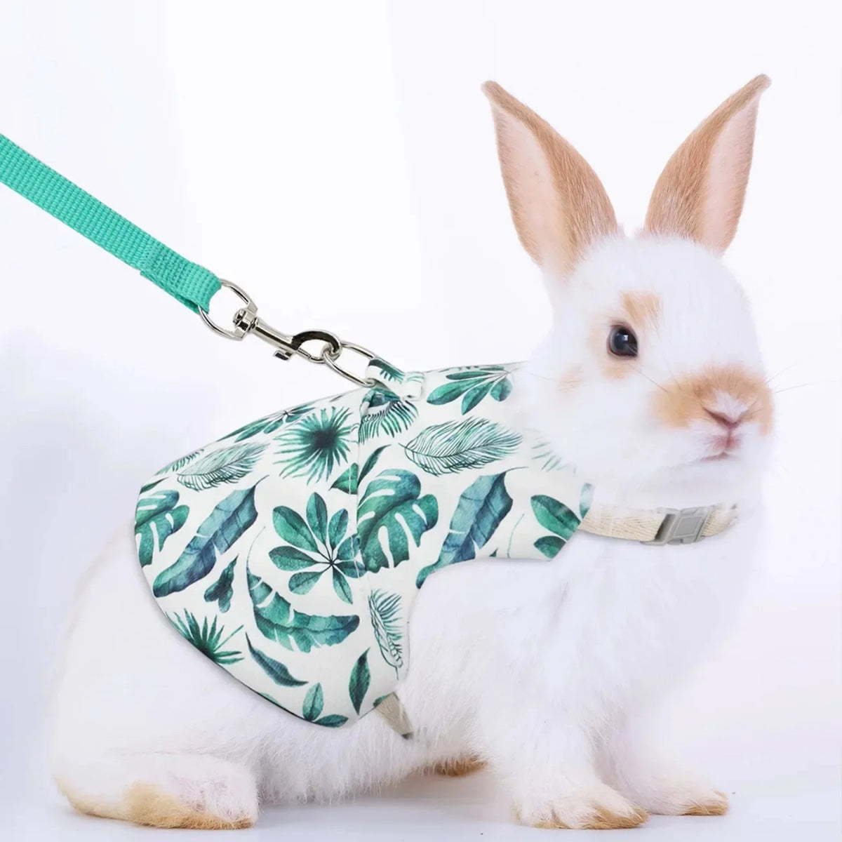 Solid Adjustable Pet Harness and Leash for Rabbit Bunny Cat Ferrets