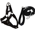 Dog Harness, Leash Rope Set (Pack of 2) Size 18X11X8 Cm  Color Black