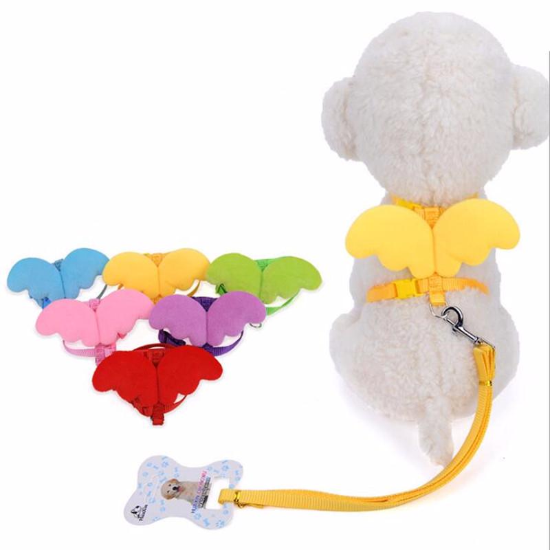 Cute Angel Pet Dog Leashes and Collars Set Puppy Leads for Small Dogs